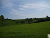 P1010070.jpg (45kb)