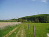 P1010071.jpg (59kb)