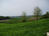 P1010076.jpg (68kb)