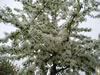 P1010109.jpg (124kb)