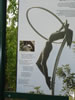 P1010117.jpg (33kb)