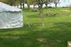 100_1441.jpg (72kb)