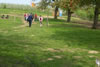 100_1442.jpg (80kb)