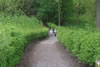 100_1444.jpg (104kb)
