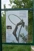 100_1453.jpg (45kb)